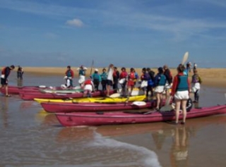  团体海上皮划艇 